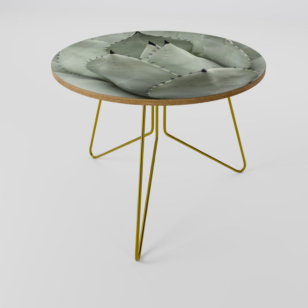 MYSTICAL SUCCULENT DREAM Konferenční stolek