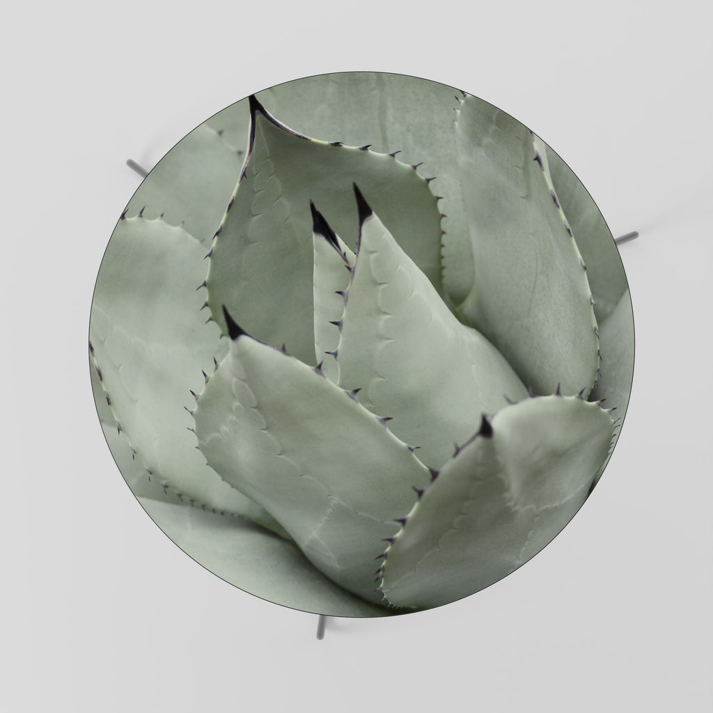 MYSTICAL SUCCULENT DREAM Konferenční stolek