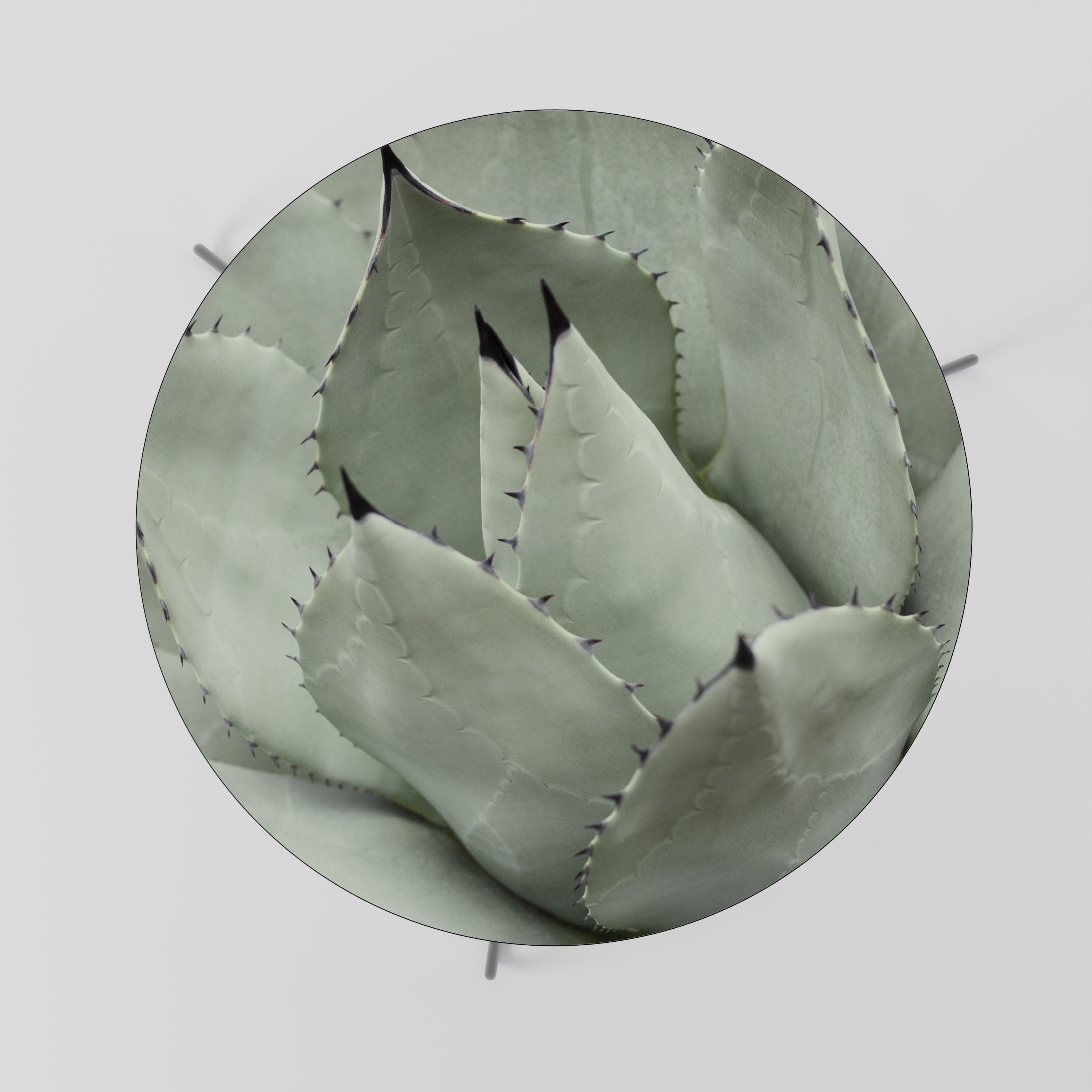 MYSTICAL SUCCULENT DREAM Konferenční stolek