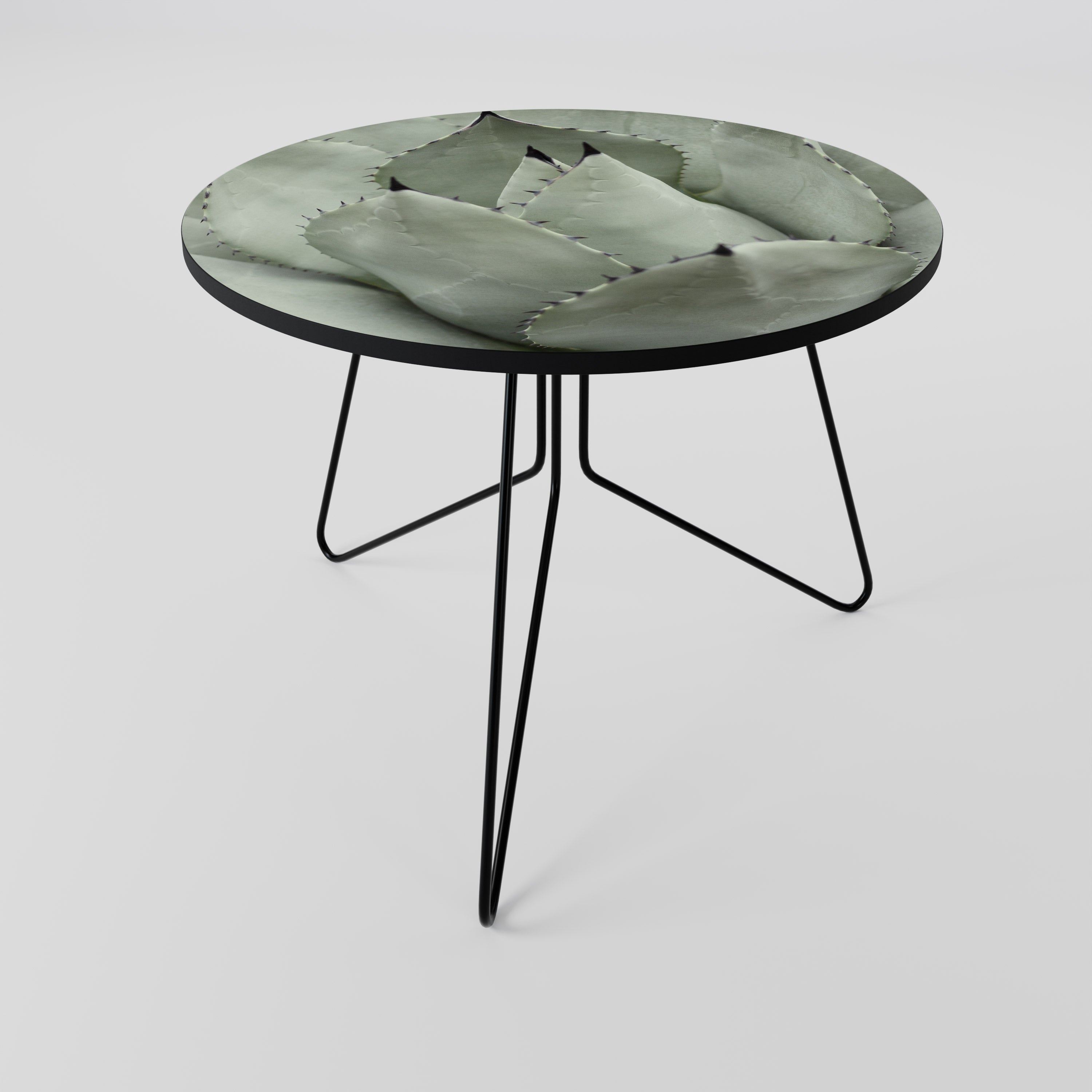 MYSTICAL SUCCULENT DREAM Konferenční stolek