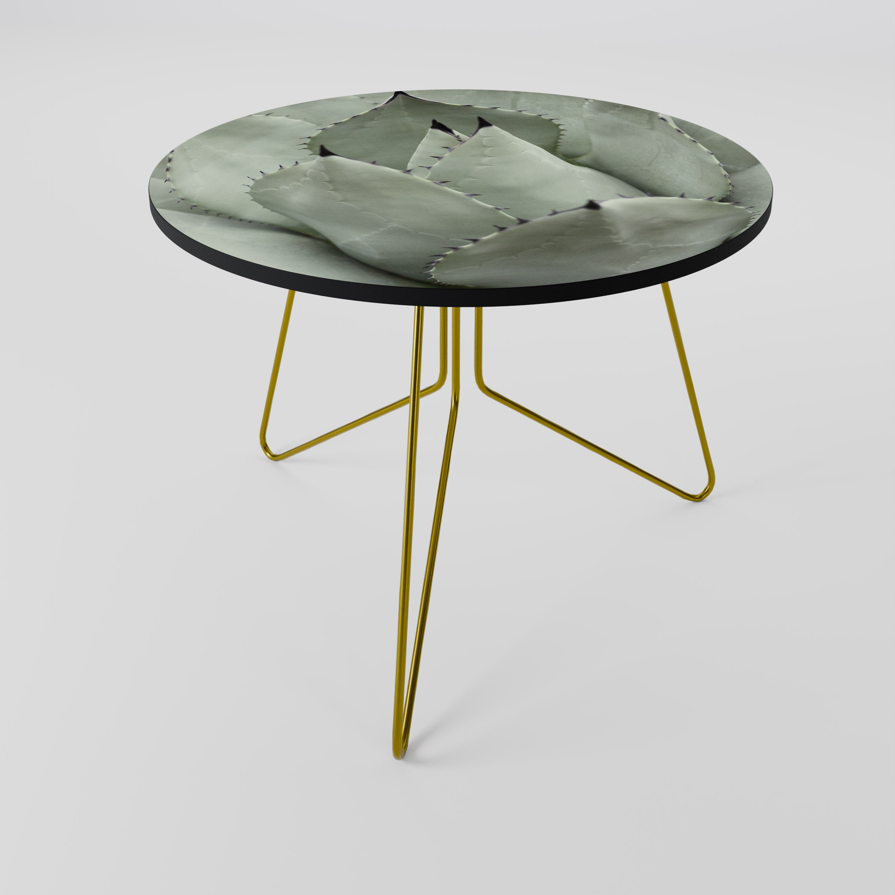 MYSTICAL SUCCULENT DREAM Konferenční stolek