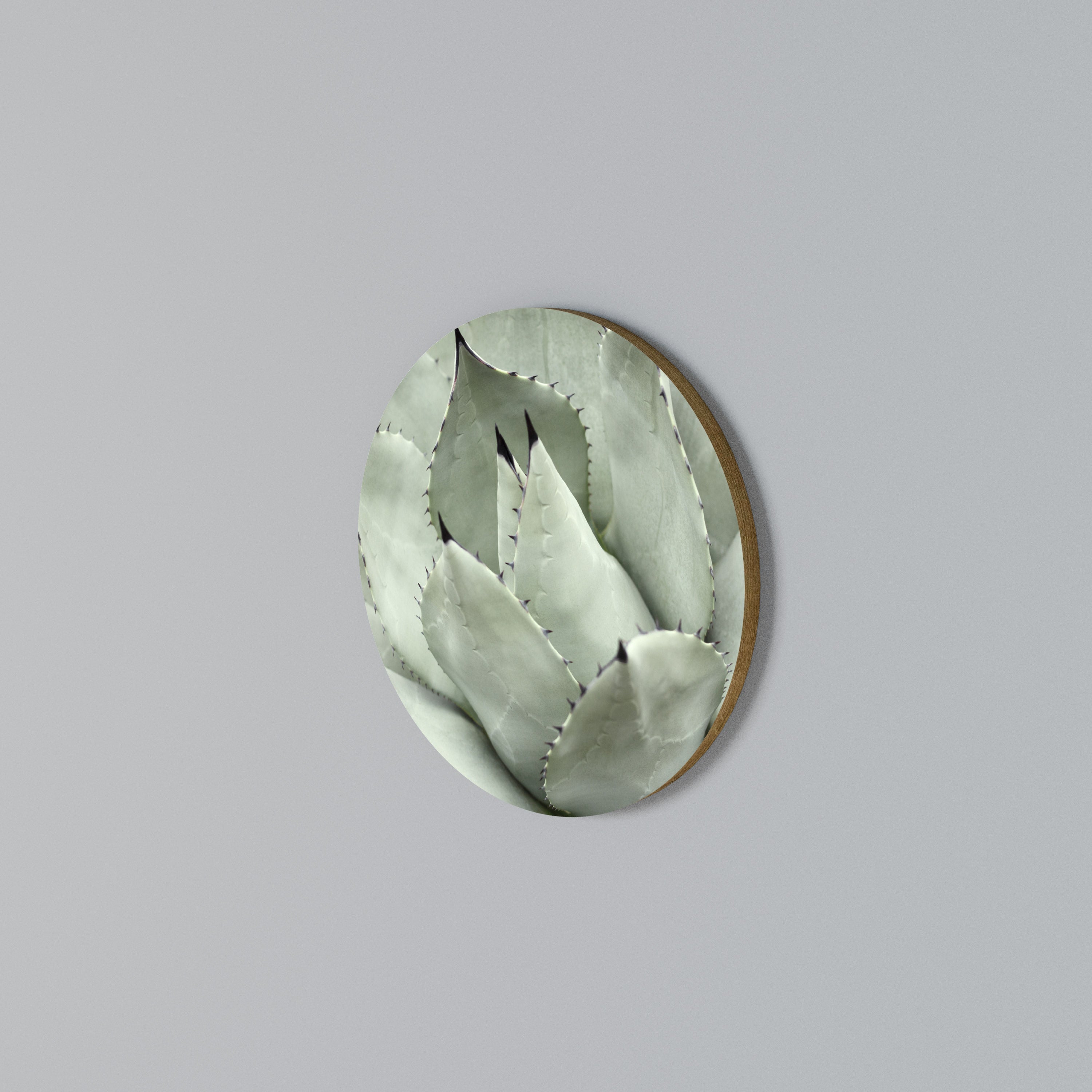 MYSTICAL SUCCULENT DREAM Round Wall Art