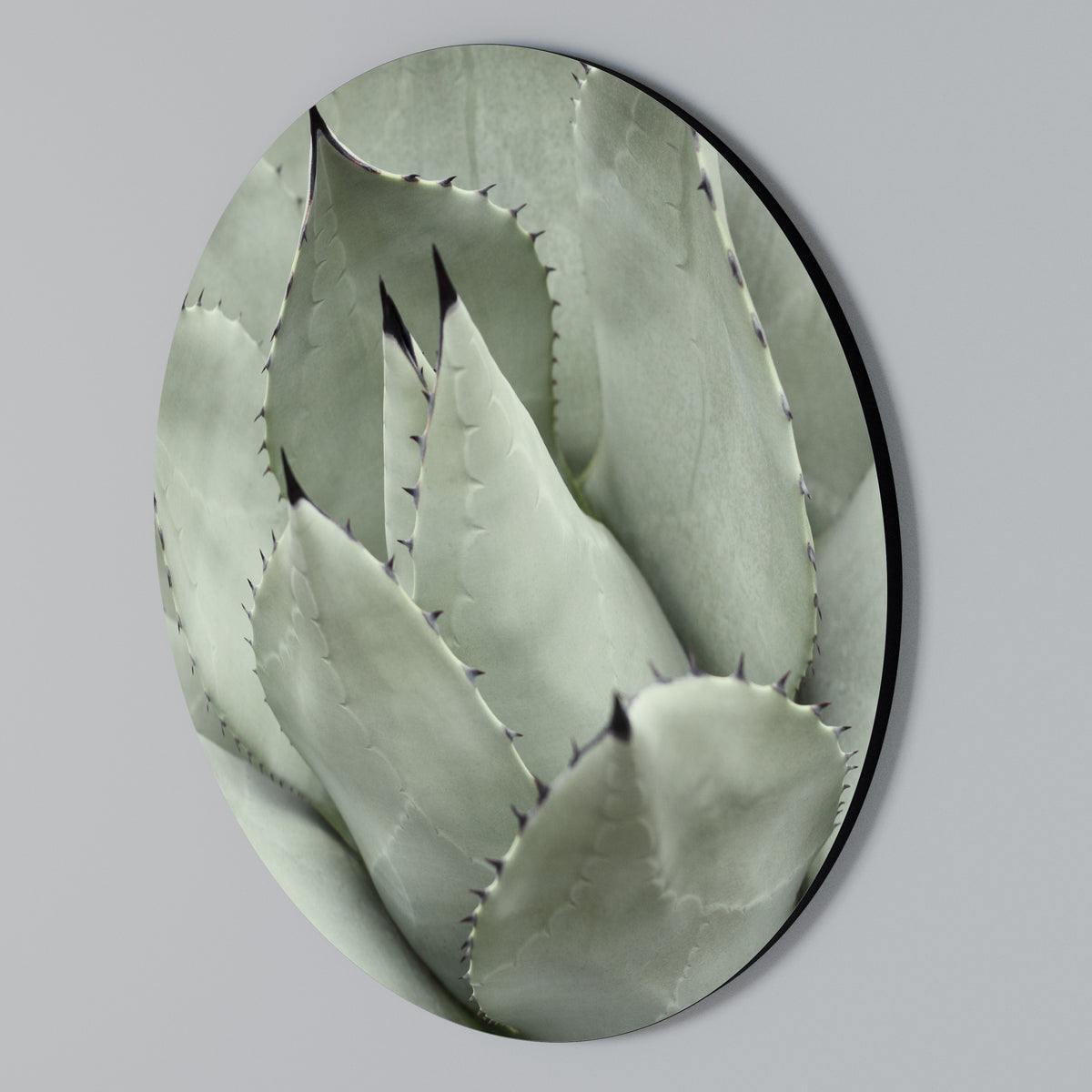 MYSTICAL SUCCULENT DREAM Στρογγυλός πίνακας ζωγραφικής