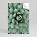 SUCCULENT SYMMETRY Selbstklebendes Poster - Hochformat