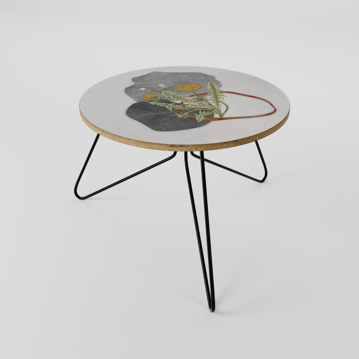 DANDELION RING Couchtisch