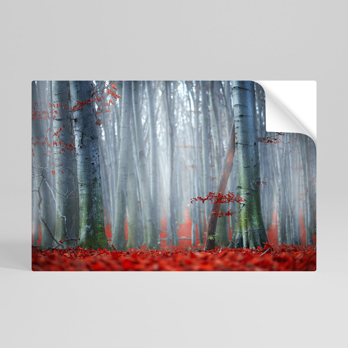 TRANQUIL RED ELEGANCE Poster Orizzontale Adesivo
