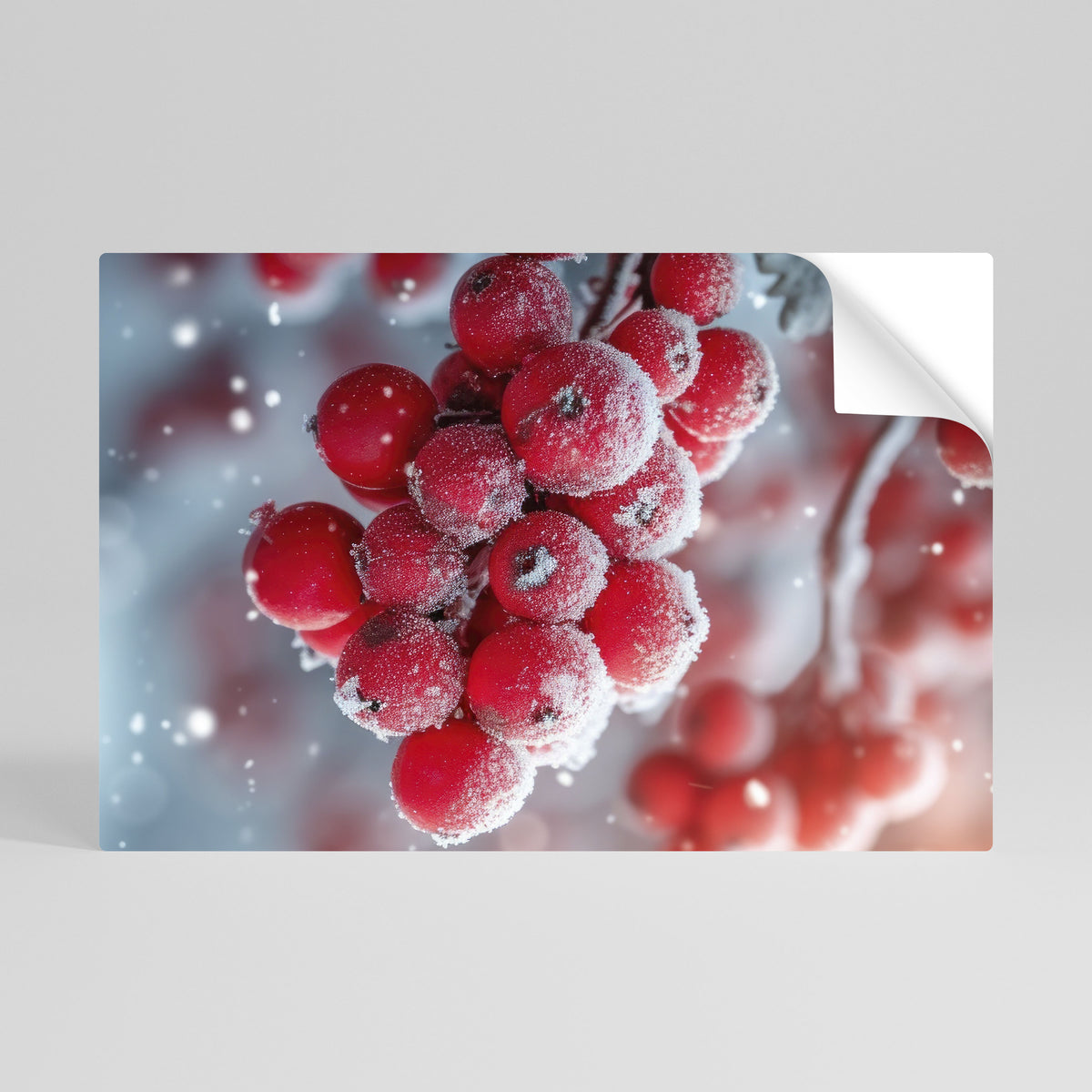 WINTER'S CRIMSON TREASURES Poster Orizzontale Adesivo
