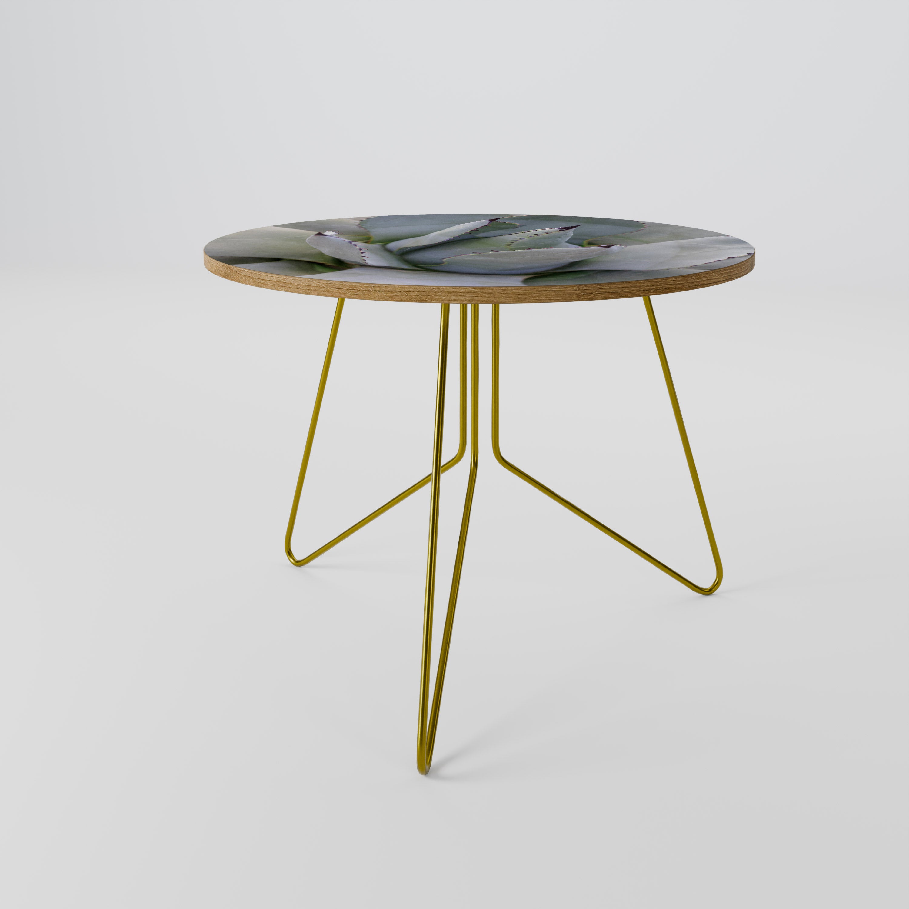 AGAVE ELEGANCE Couchtisch