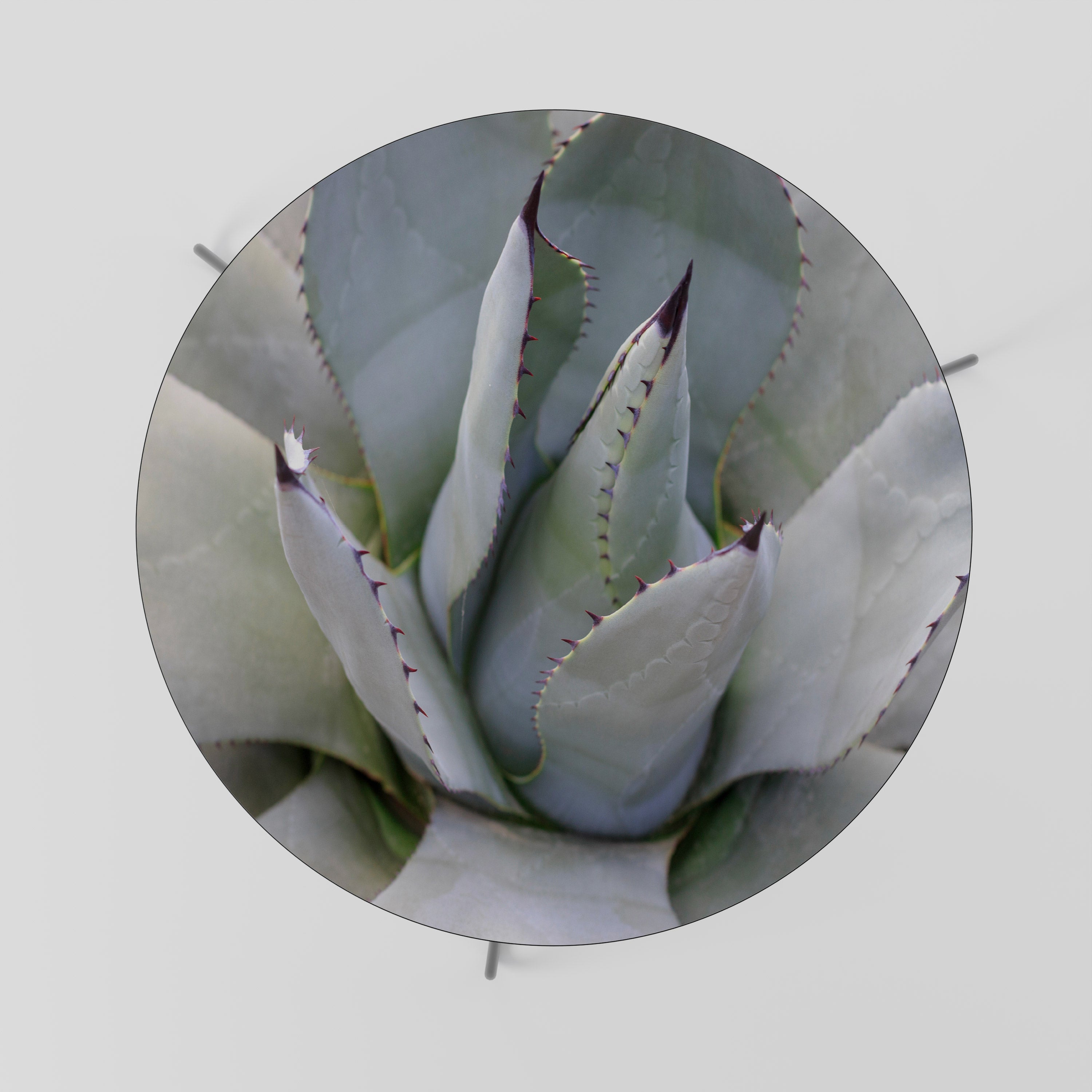 AGAVE ELEGANCE Soffbord
