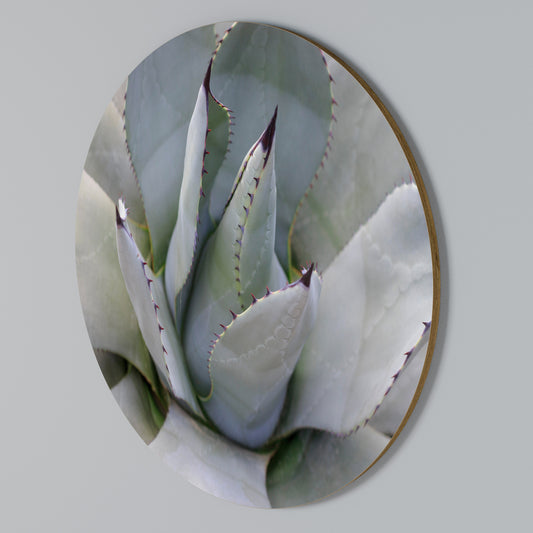 AGAVE ELEGANCE Round Wall Art
