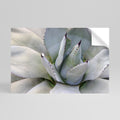 AGAVE ELEGANCE Selbstklebendes Horizontal-Poster