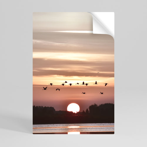 SUNSET FLIGHT SYMPHONY Selbstklebendes Poster - Hochformat
