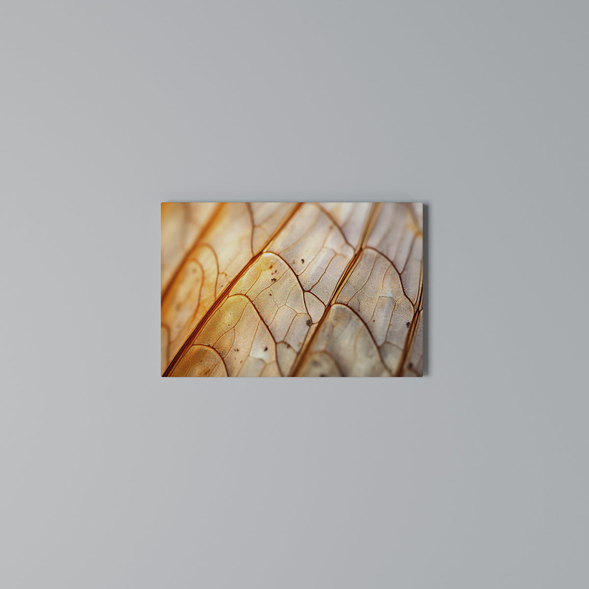 ELEGANT VEINING Horizontal Canvas Print