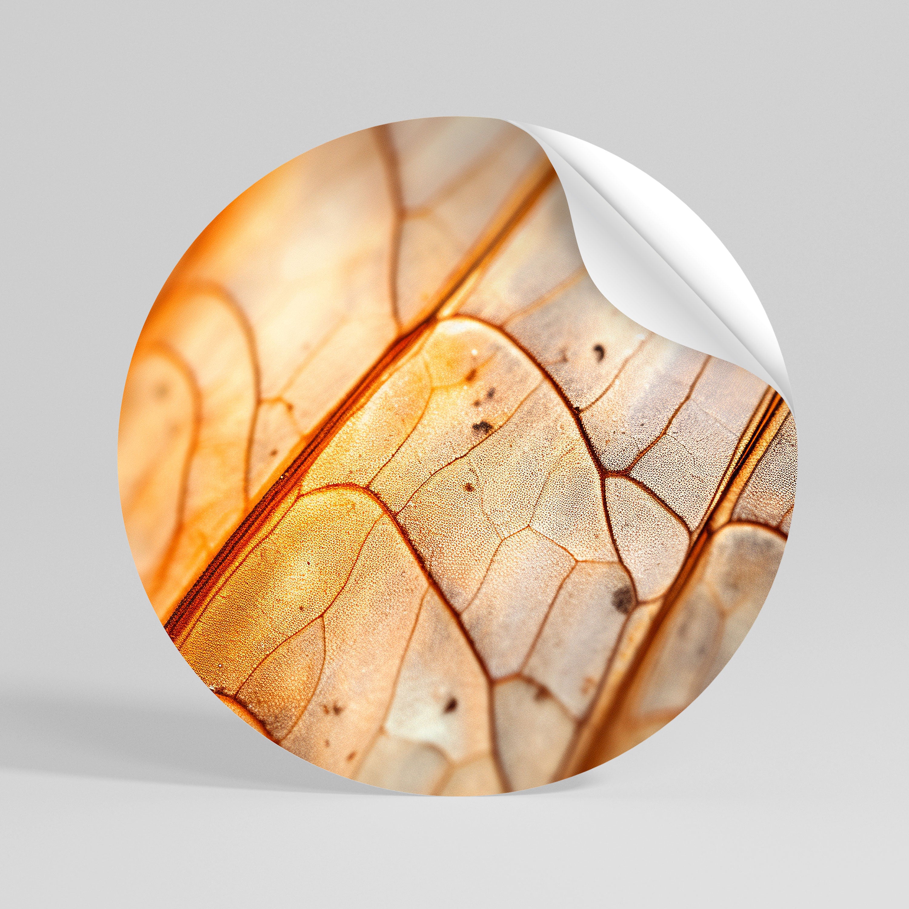 ELEGANT VEINING Rund väggdekal