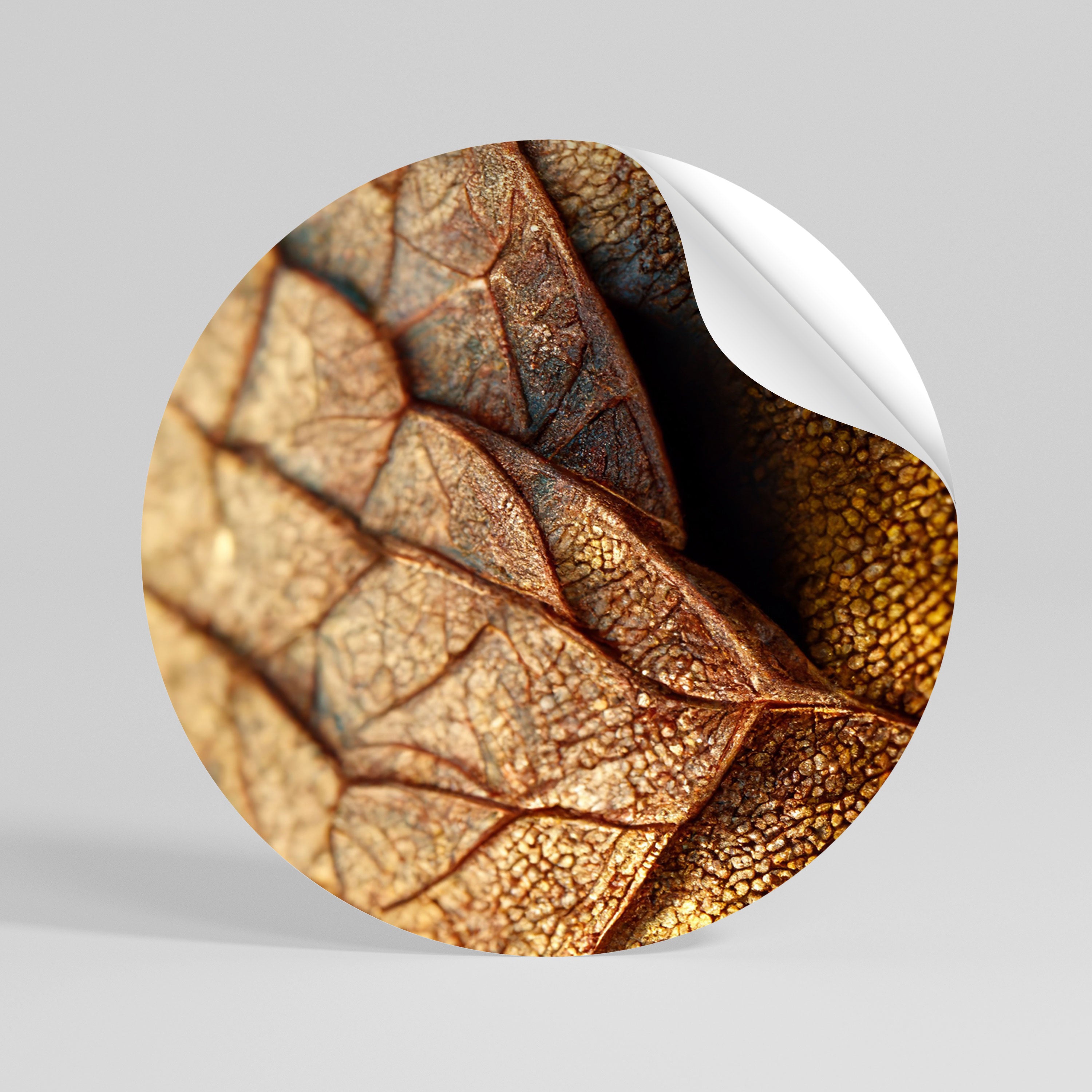 RUSTIC TEXTURE STUDY Rund väggdekal