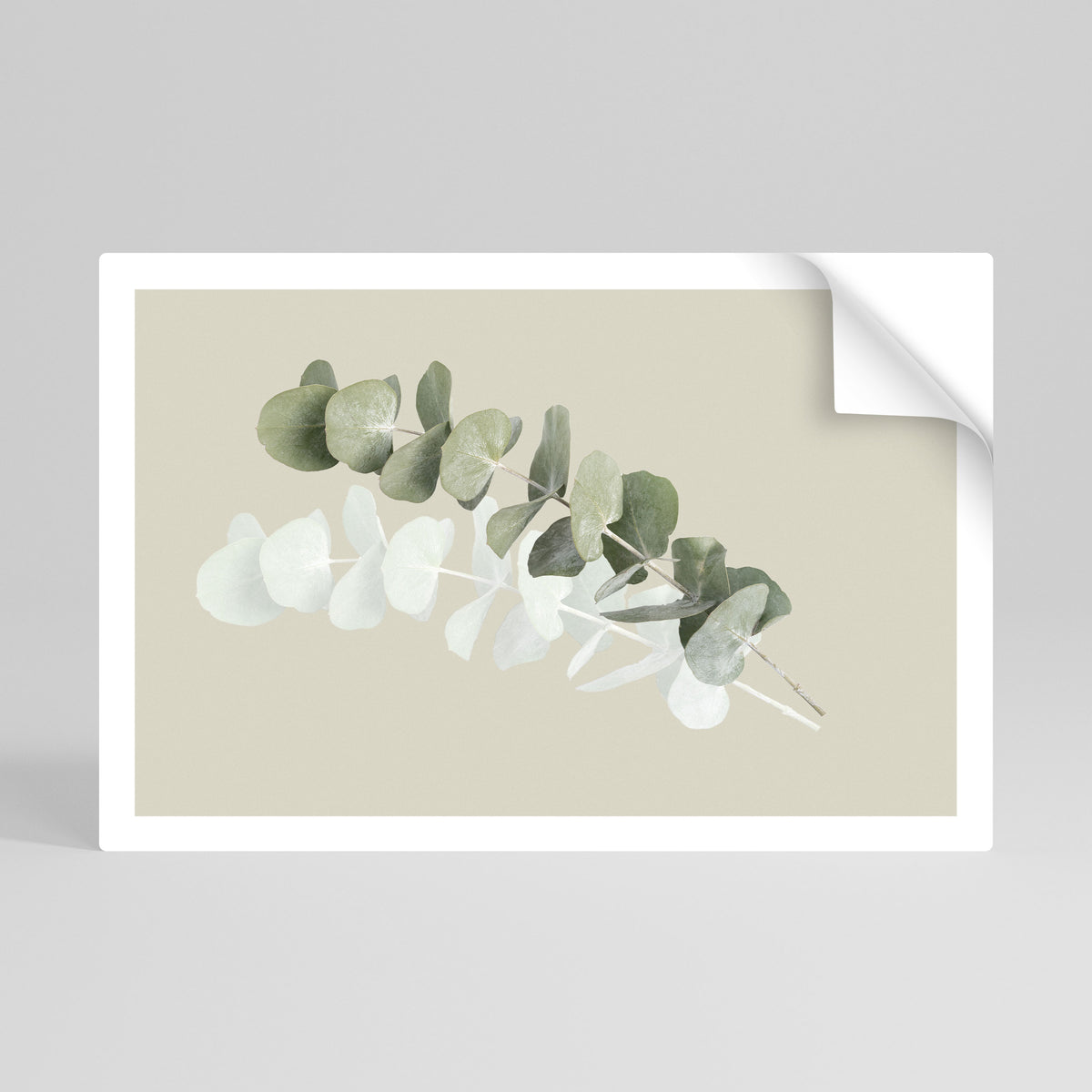 TRANSLUCENT NATURE Poster Orizzontale Adesivo