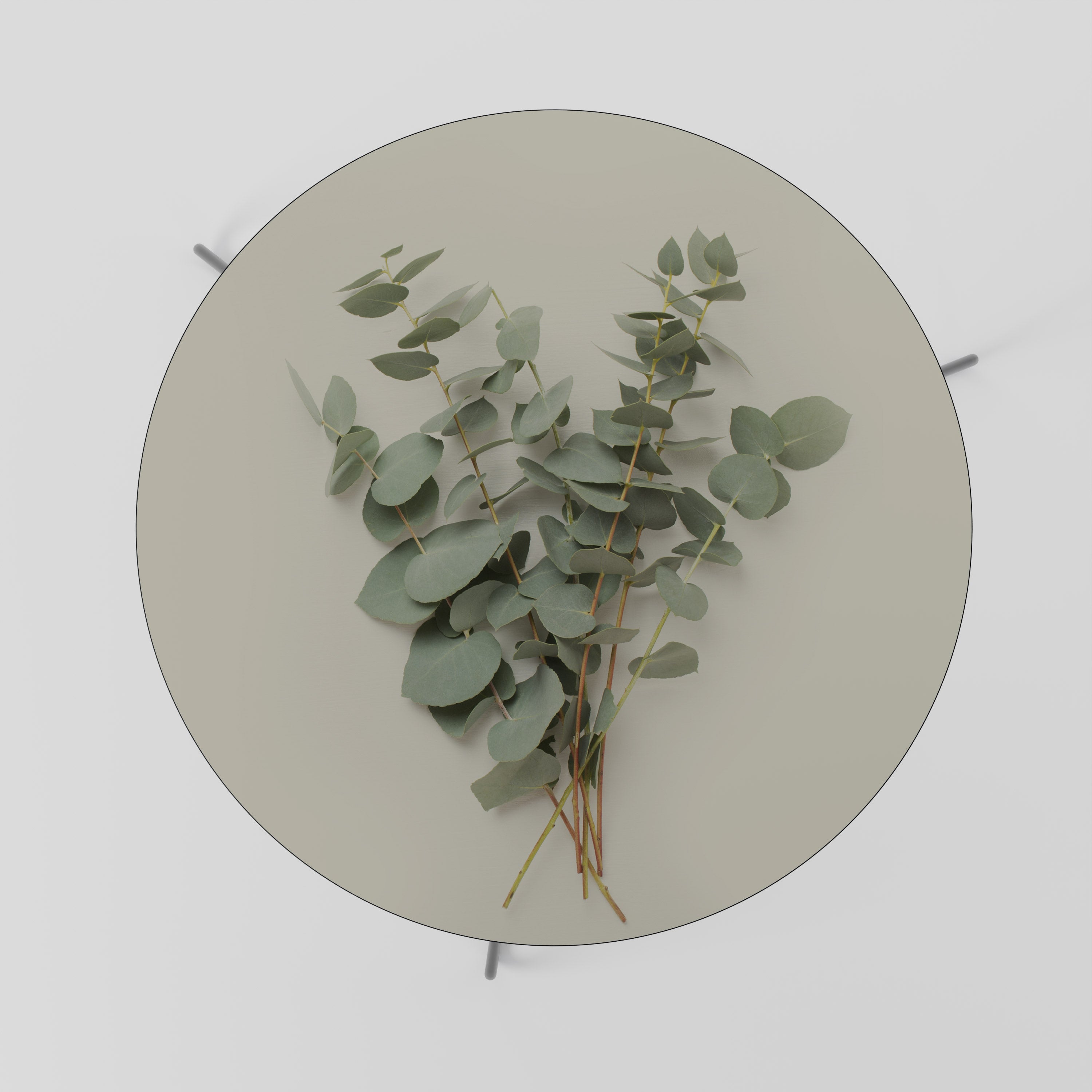 FOLIAGE FANTASIES Couchtisch