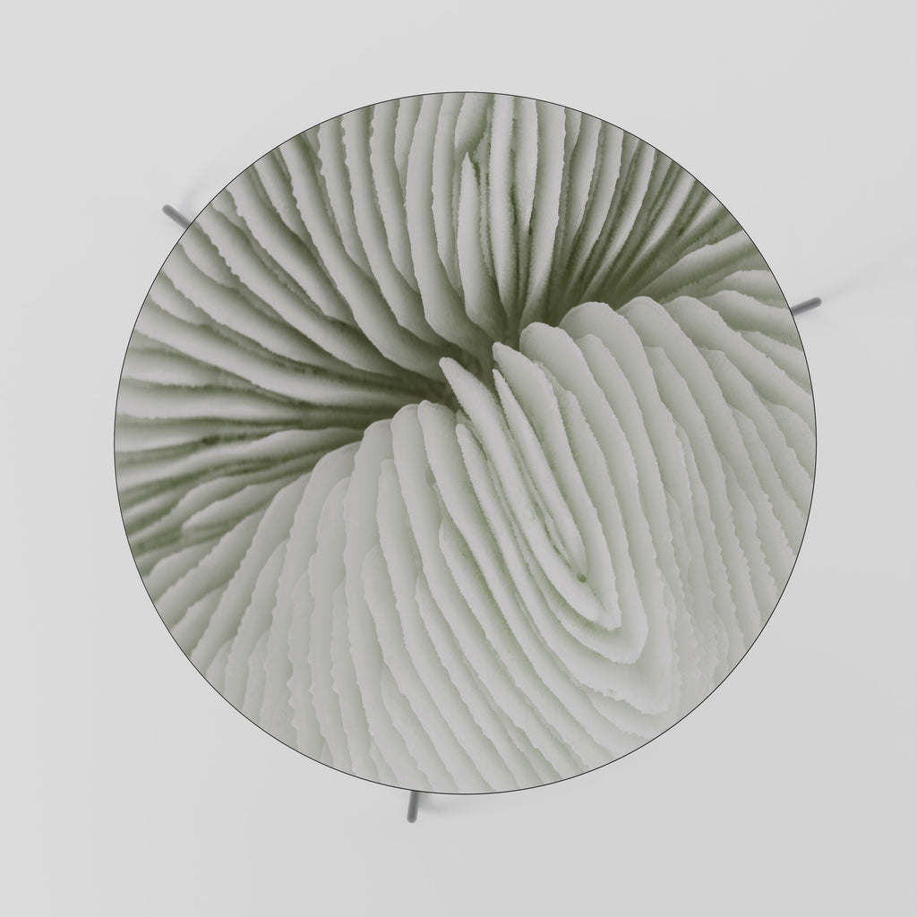 NATURE'S SYMMETRY Konferenční stolek