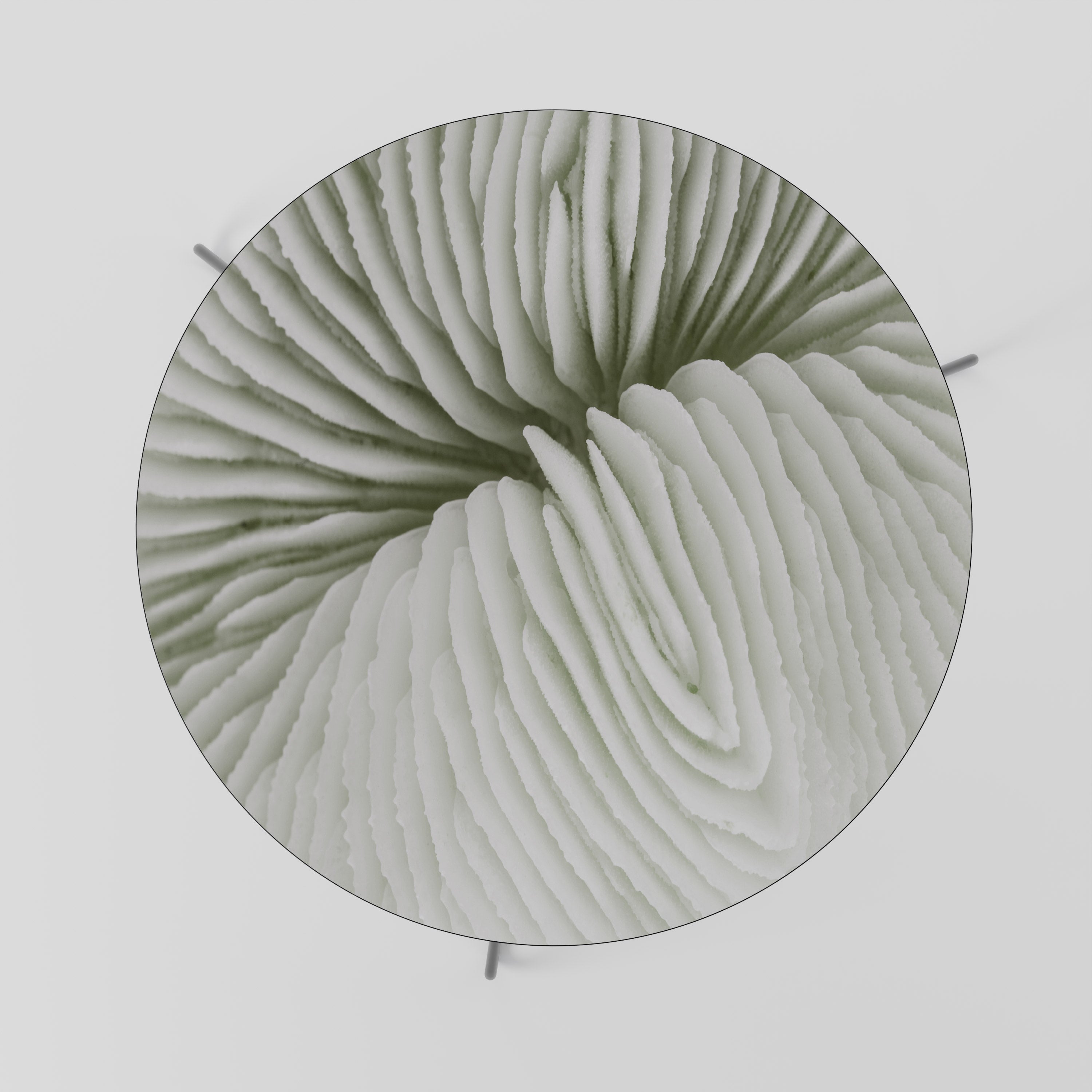 NATURE'S SYMMETRY Konferenční stolek