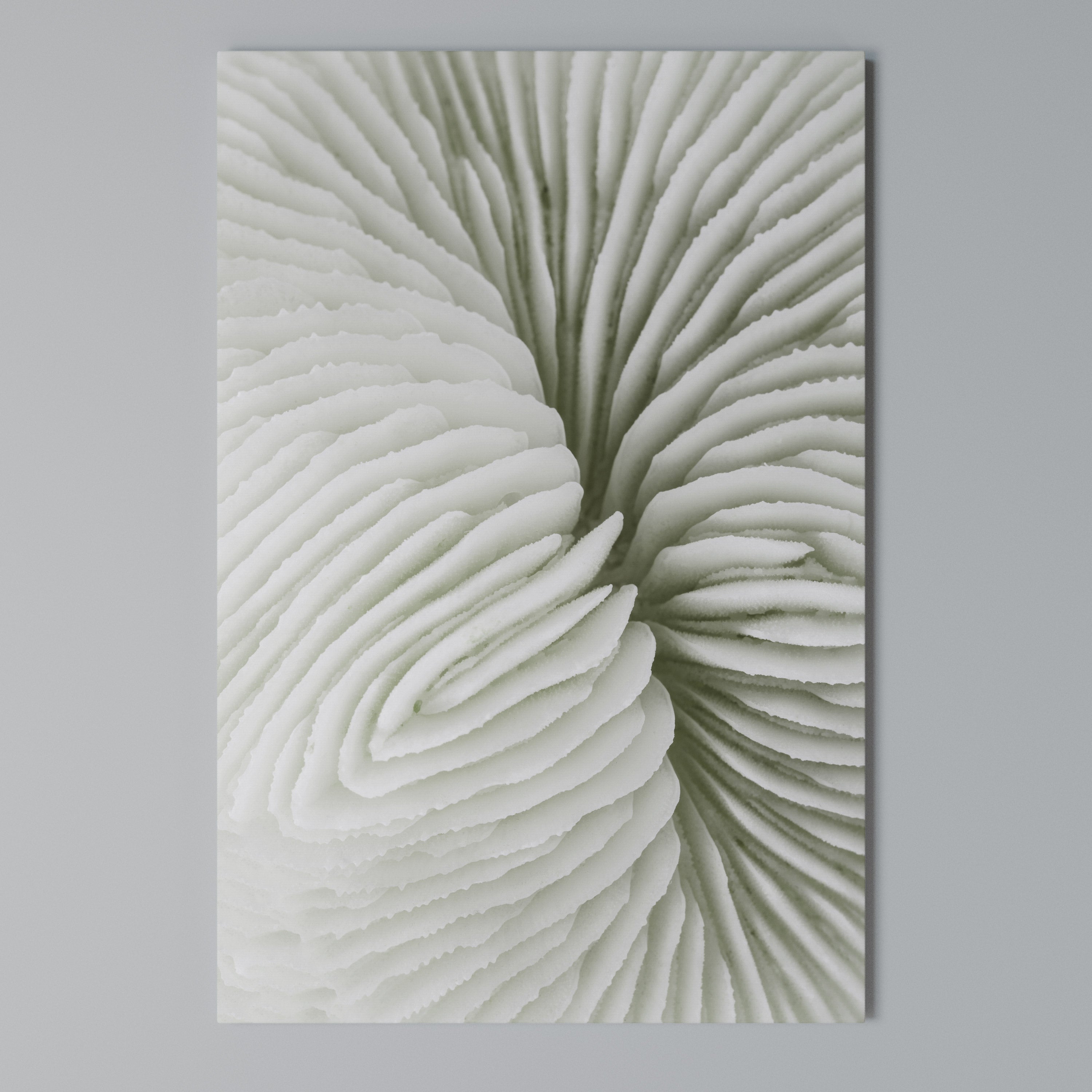 NATURE'S SYMMETRY Κατακόρυφος Πίνακας σε Καμβά