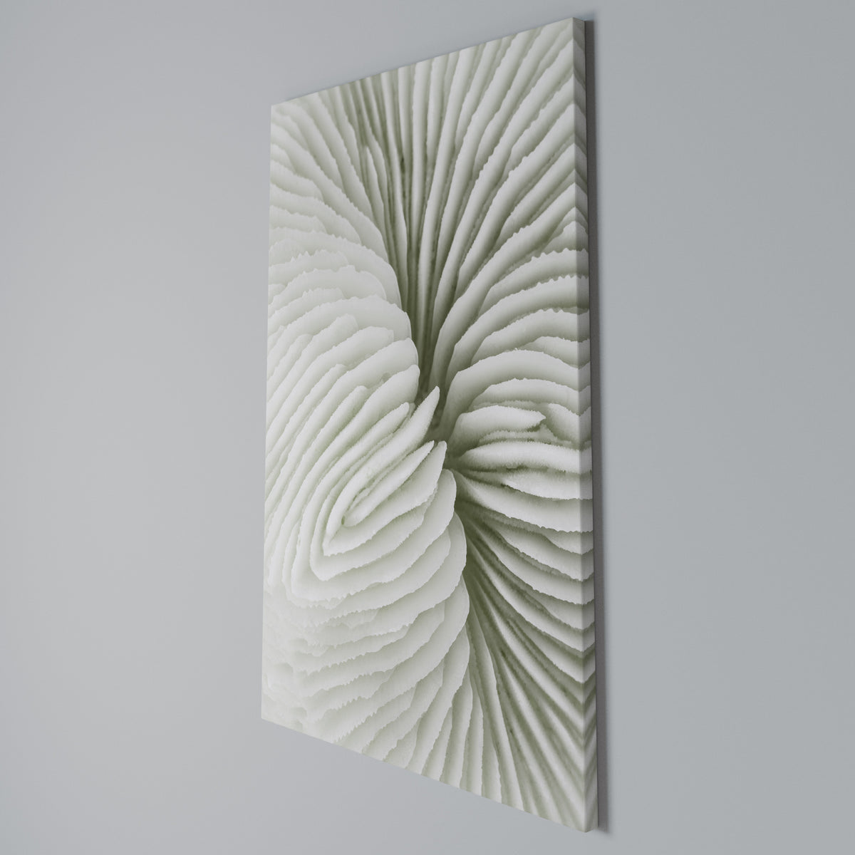 NATURE'S SYMMETRY Quadro em tela vertical