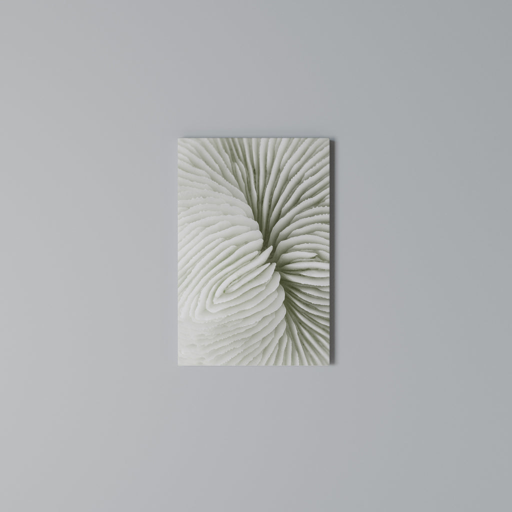 NATURE'S SYMMETRY Quadro em tela vertical