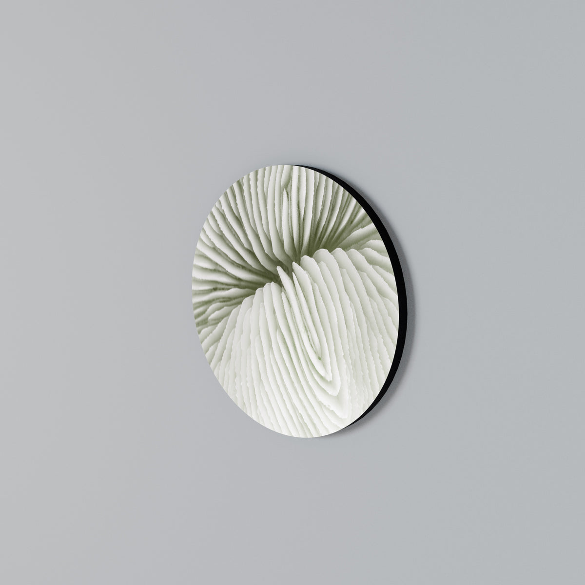 NATURE'S SYMMETRY Round Wall Art