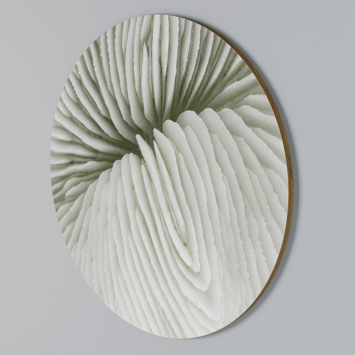 NATURE'S SYMMETRY Στρογγυλός πίνακας ζωγραφικής