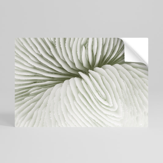 NATURE'S SYMMETRY Poster Orizzontale Adesivo