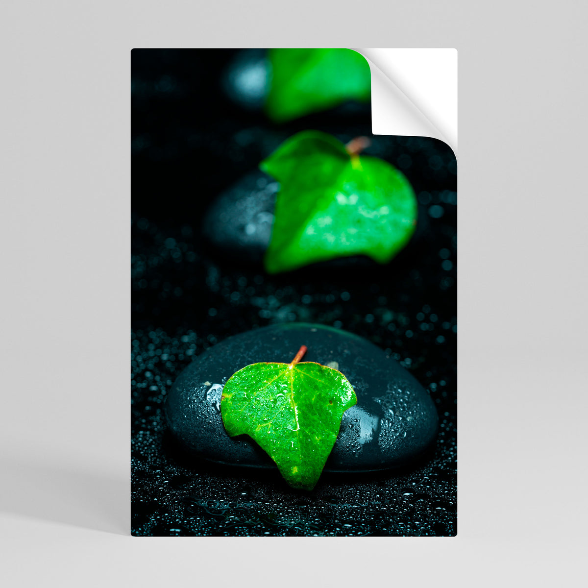 RAINDROPS ON STONE Selbstklebendes Poster - Hochformat