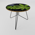 NATURE'S EMBRACE Couchtisch