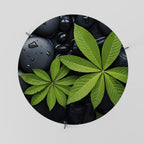 NATURE'S EMBRACE Couchtisch