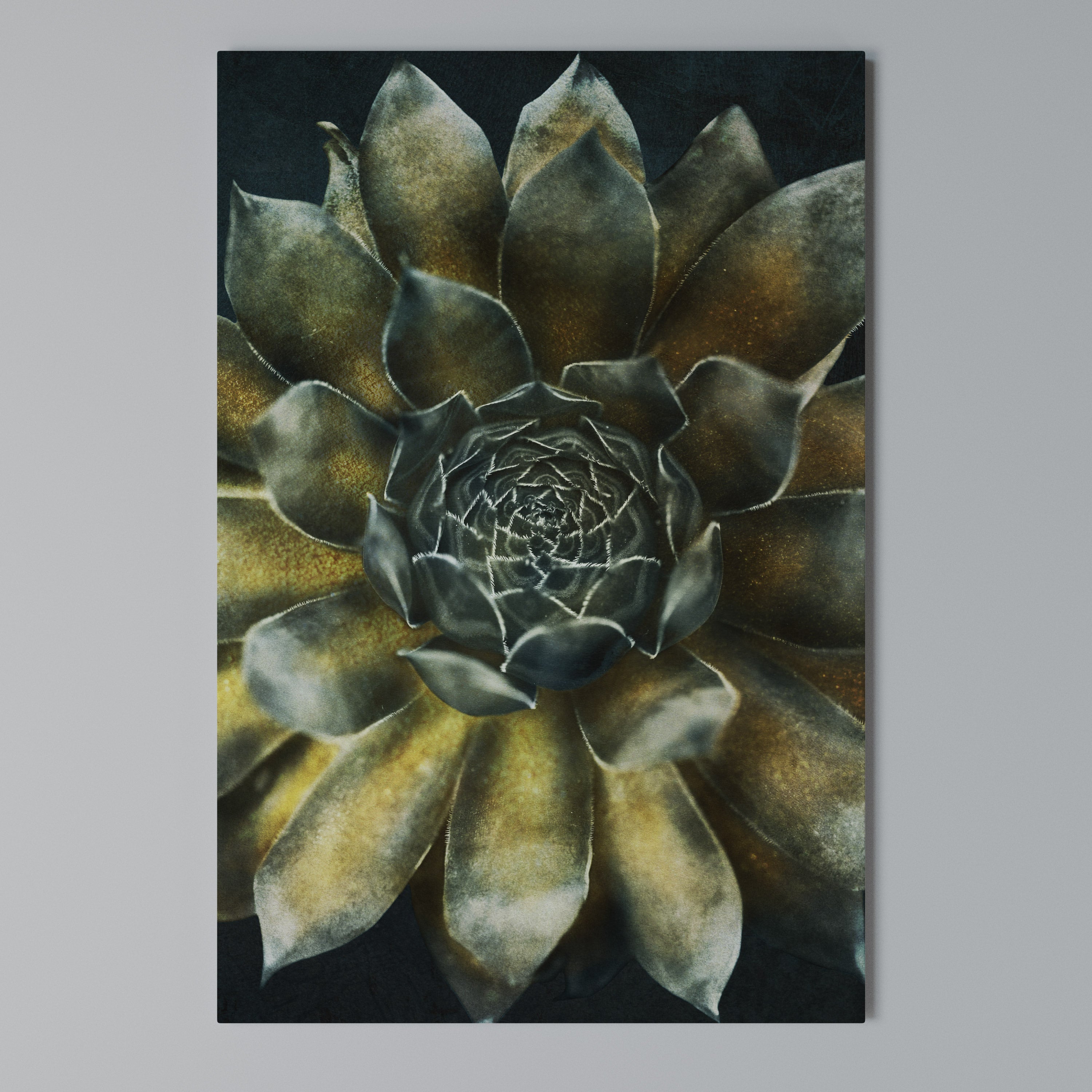 MYSTICAL SUCCULENT WHIRL Κατακόρυφος Πίνακας σε Καμβά