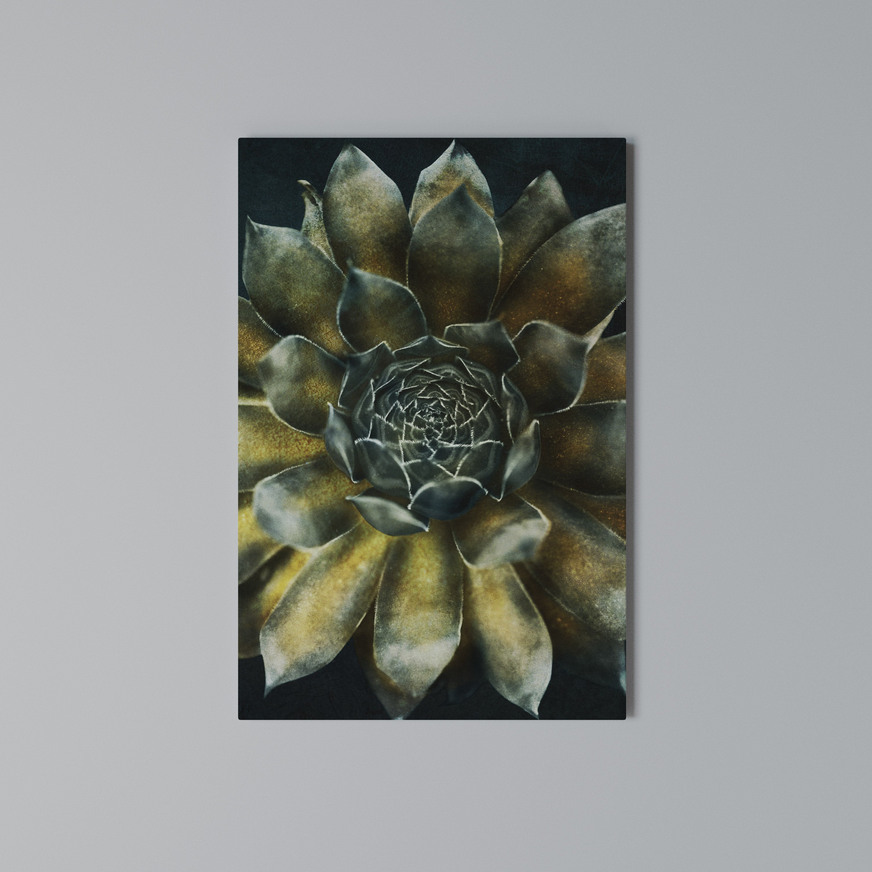 MYSTICAL SUCCULENT WHIRL Κατακόρυφος Πίνακας σε Καμβά