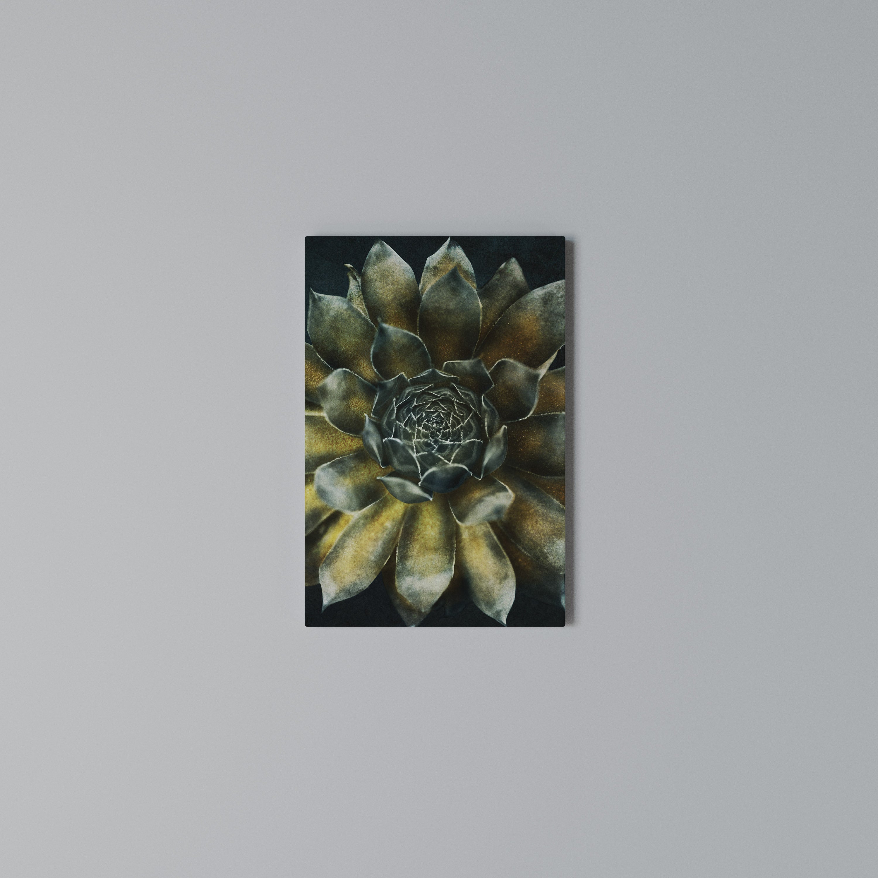 MYSTICAL SUCCULENT WHIRL Κατακόρυφος Πίνακας σε Καμβά