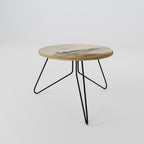 LAKESIDE NOSTALGY Coffee Table