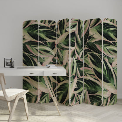 EERIE STROMANTHE 6-Panel Plywood Room Divider