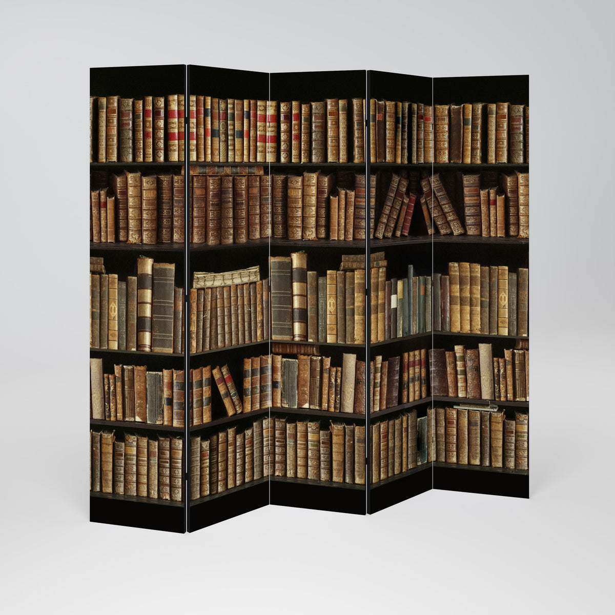 SHELVES OF TIME 5dílný paraván
