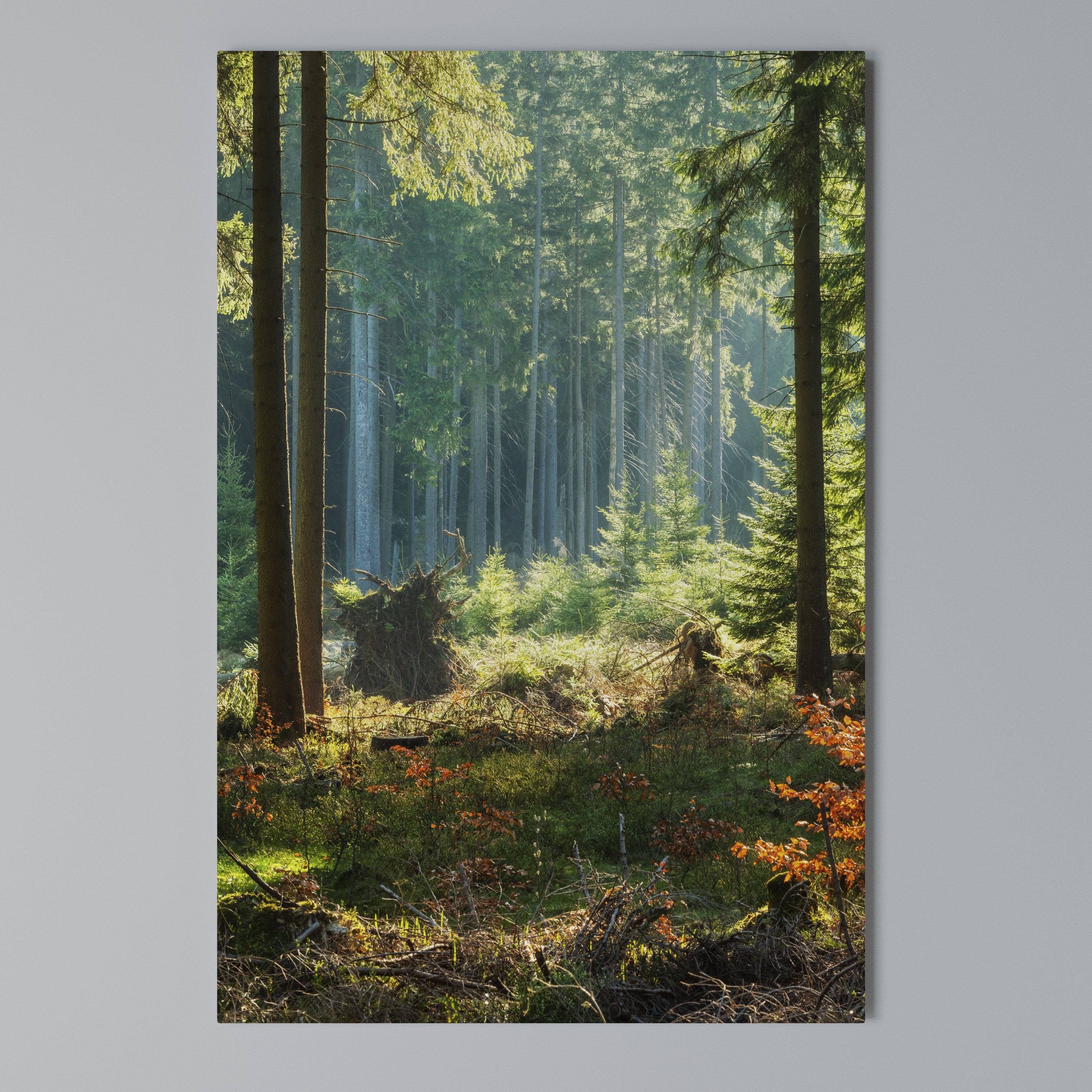 SUNLIT FOREST SERENADE Cuadro en lienzo vertical