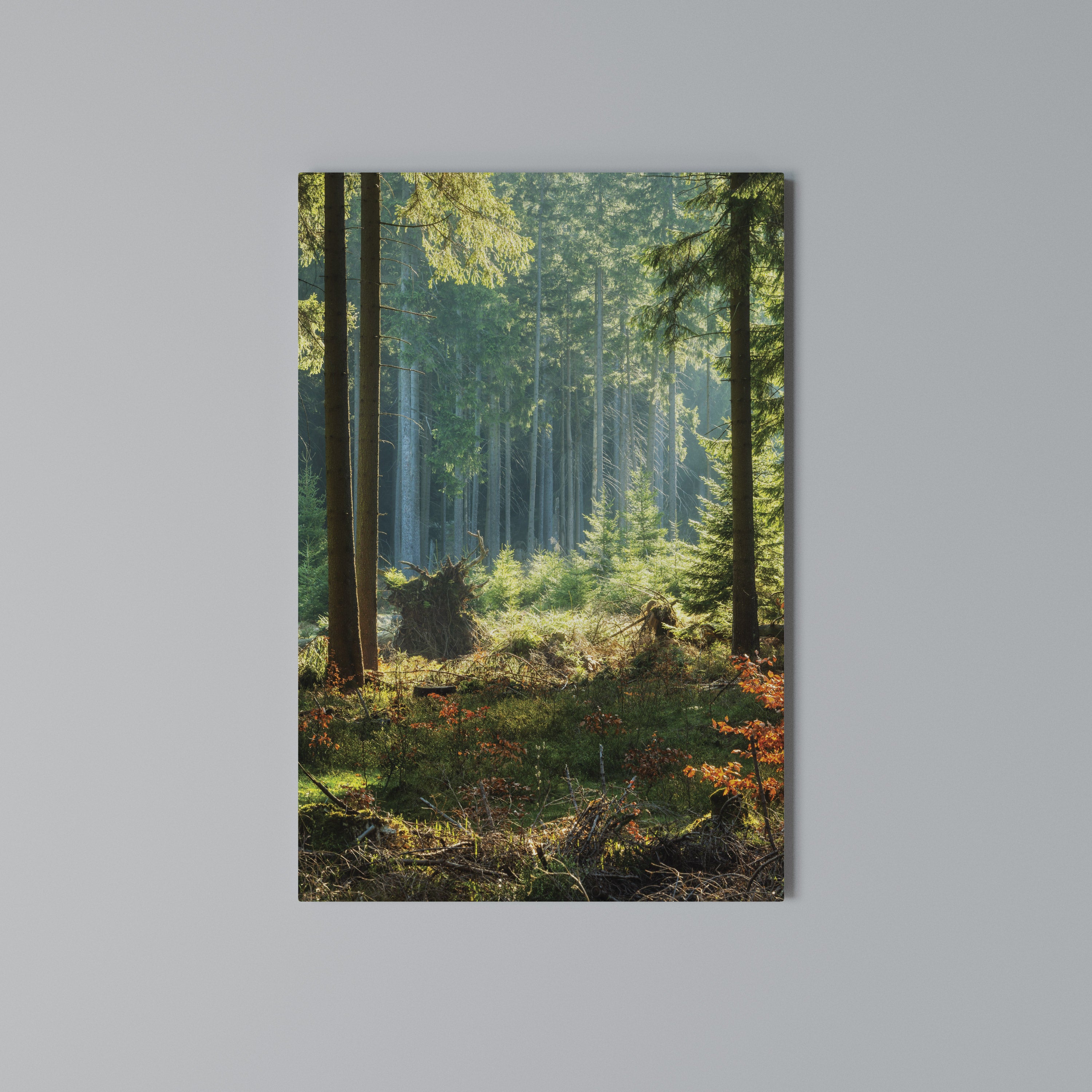 SUNLIT FOREST SERENADE Cuadro en lienzo vertical