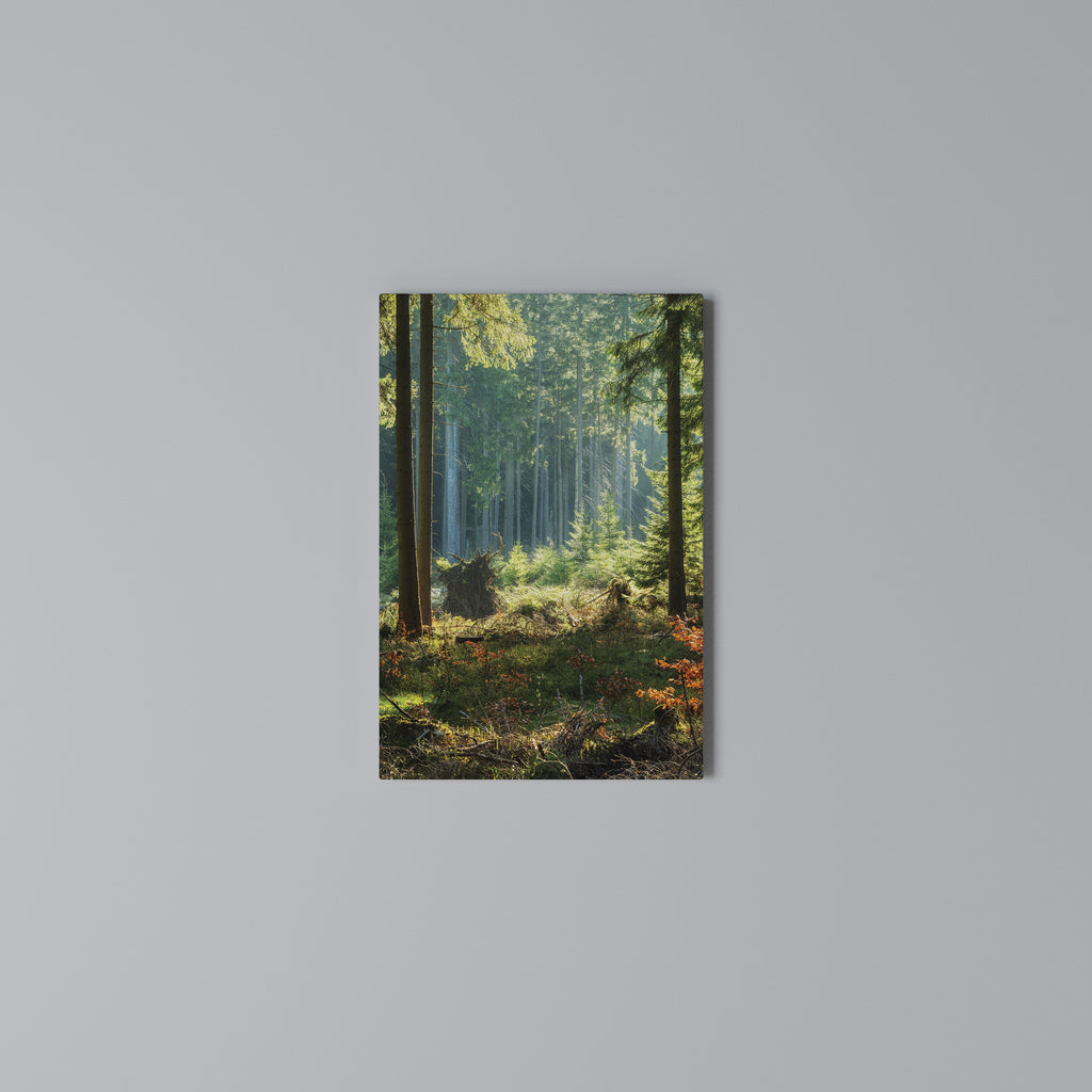SUNLIT FOREST SERENADE Vertical Canvas Print