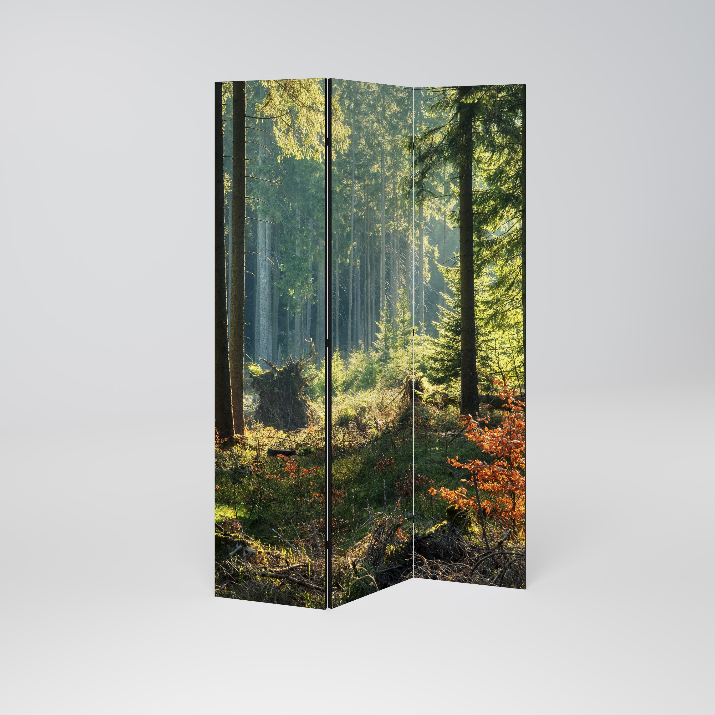SUNLIT FOREST SERENADE 3-teiliger Paravent