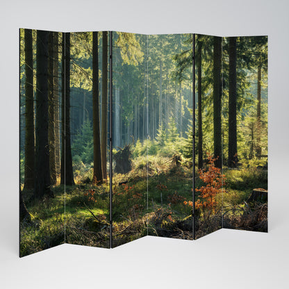 SUNLIT FOREST SERENADE Biombo de 6 paneles