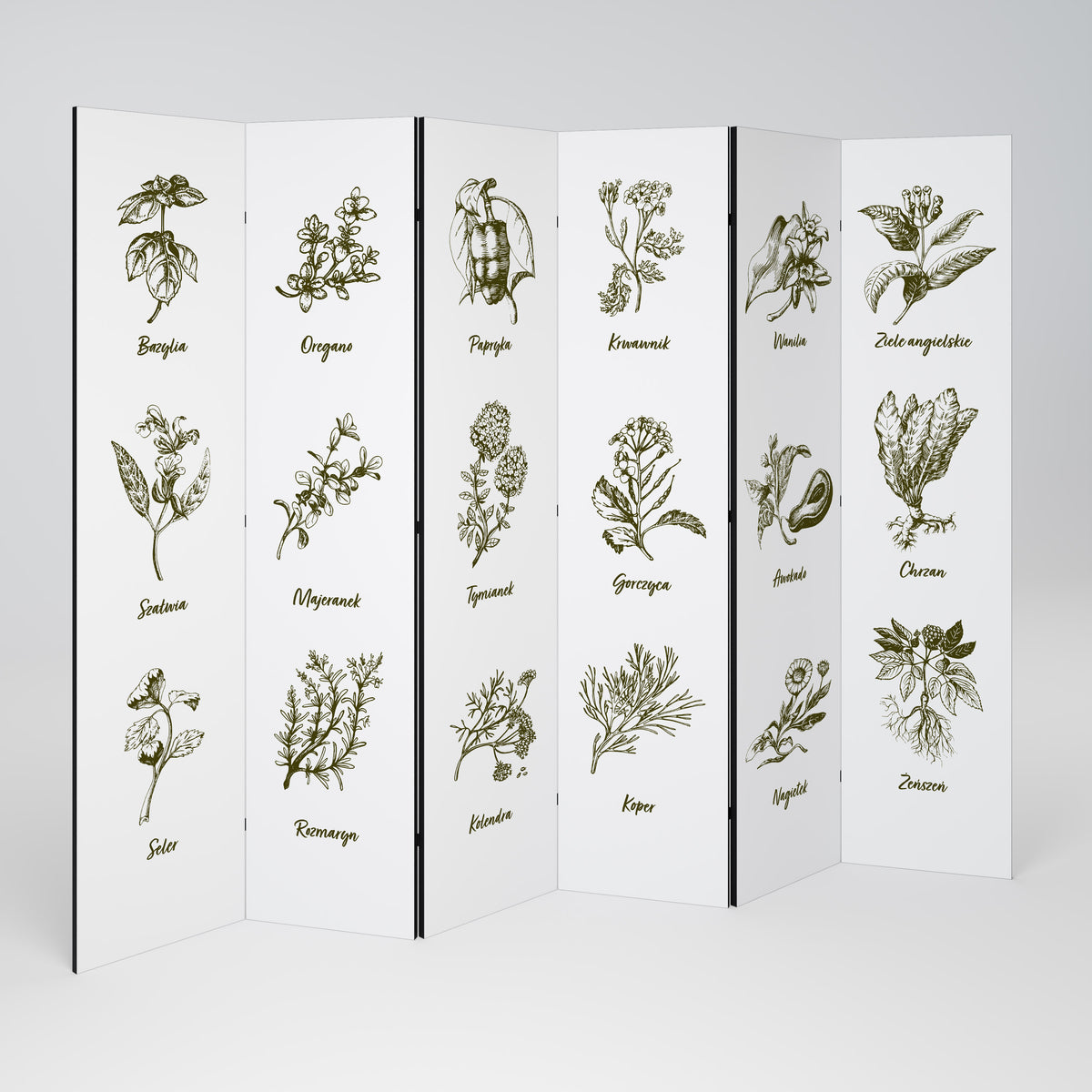 WHISPERS OF WILD HERBS Biombo de 6 paneles