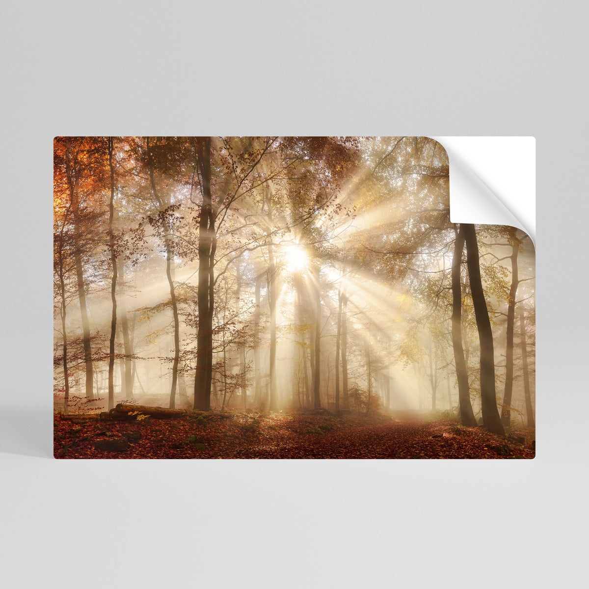 WHISPERS OF AUTUMN Poster Orizzontale Adesivo