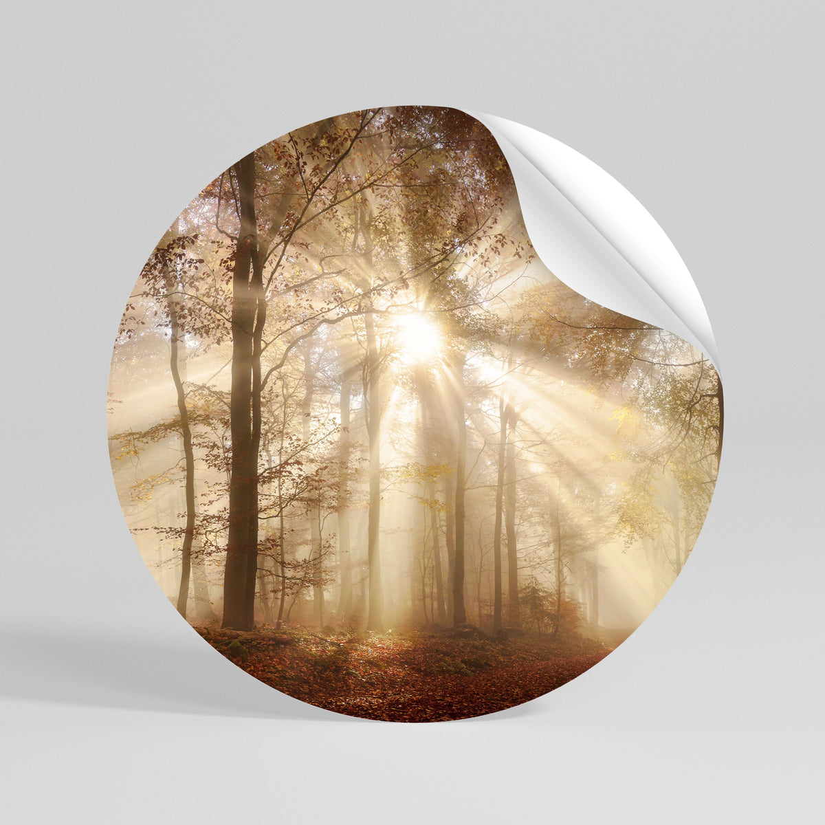 WHISPERS OF AUTUMN Runder Wandsticker zum Abziehen und Aufkleben