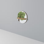 WILDERNESS DASH Decorative Art Shelf