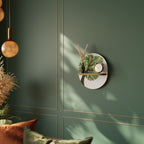 WILDERNESS DASH Decorative Art Shelf