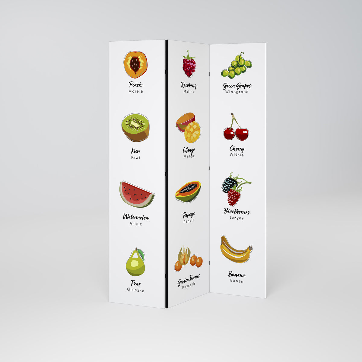 FRUIT LESSON 3-Panel Room Divider