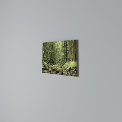 TRANQUIL STONES AND STREAMS Cuadro en lienzo horizontal